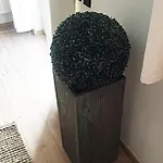 Daire Grossartige Mit Grossem Garten In Bad Schwartau! Bad Schwartau