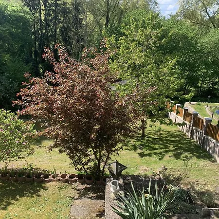 Apartment Grossartige Mit Grossem Garten In Bad Schwartau!