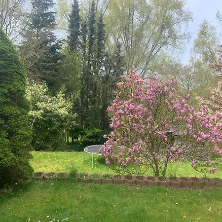 Apartment Grossartige Mit Grossem Garten In Bad Schwartau! Bad Schwartau